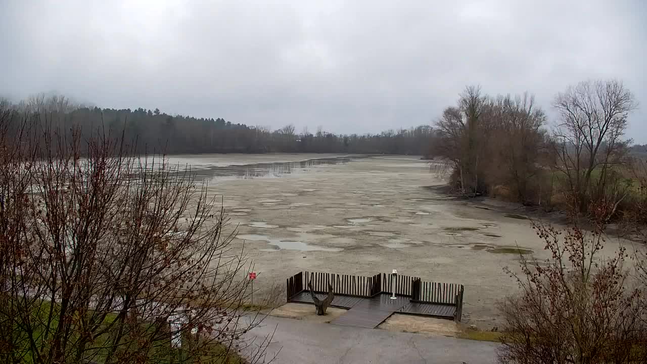 Webcam Ribnik Vrbje – Žalec