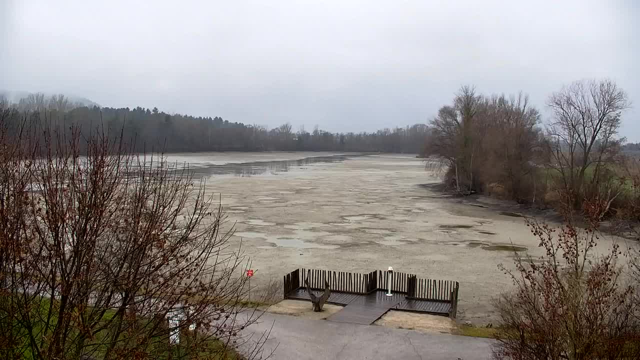 Web kamera Ribnik Vrbje – Žalec