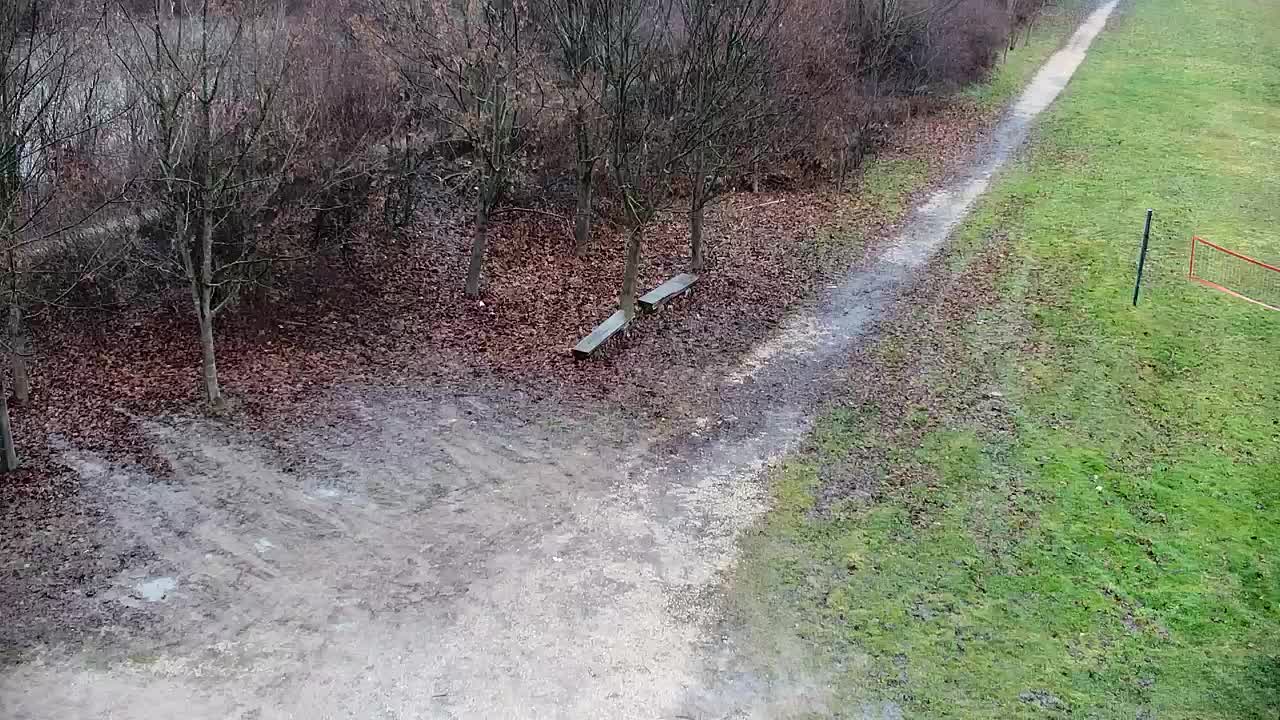 Webcam Ribnik Vrbje – Žalec