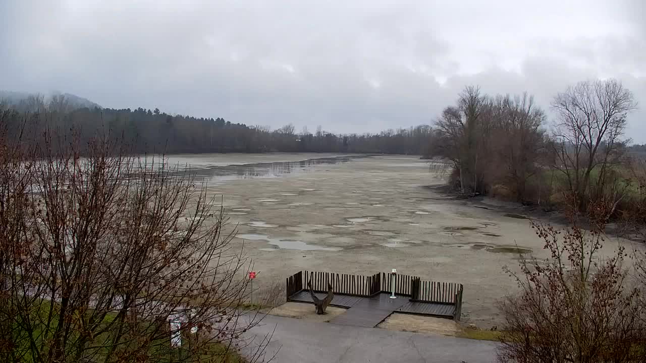 Webcam Ribnik Vrbje – Žalec