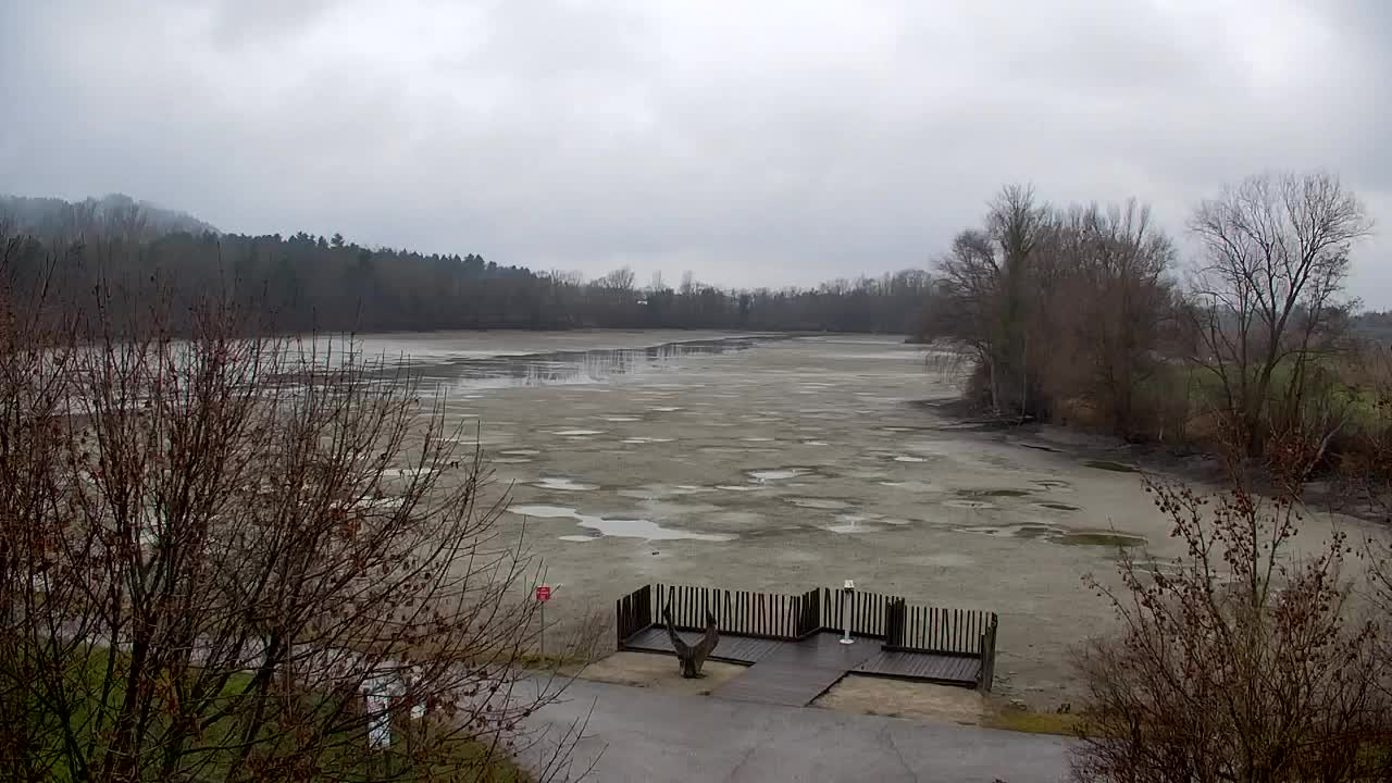 Spletna kamera Ribnik Vrbje – Žalec
