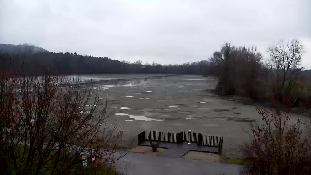 Webcam Ribnik Vrbje – Žalec