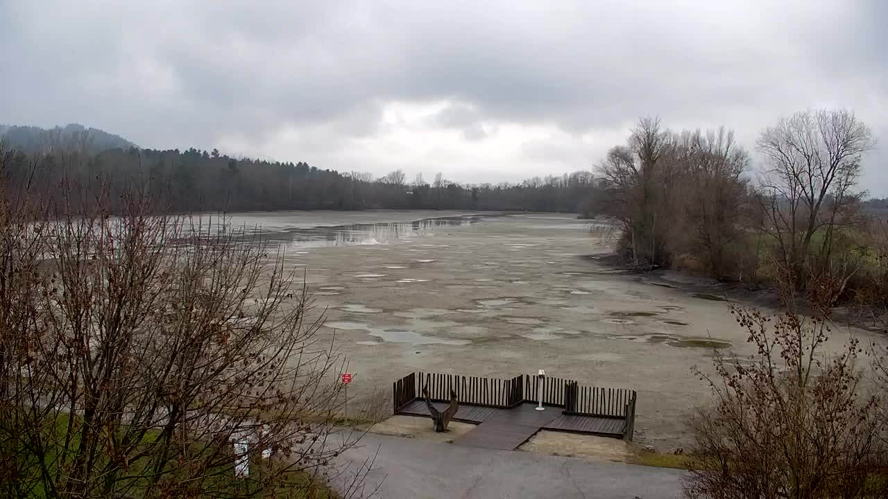 Webcam Ribnik Vrbje – Žalec