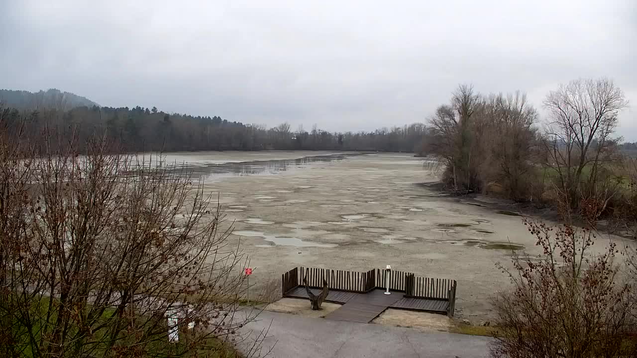 Webcam Ribnik Vrbje – Žalec