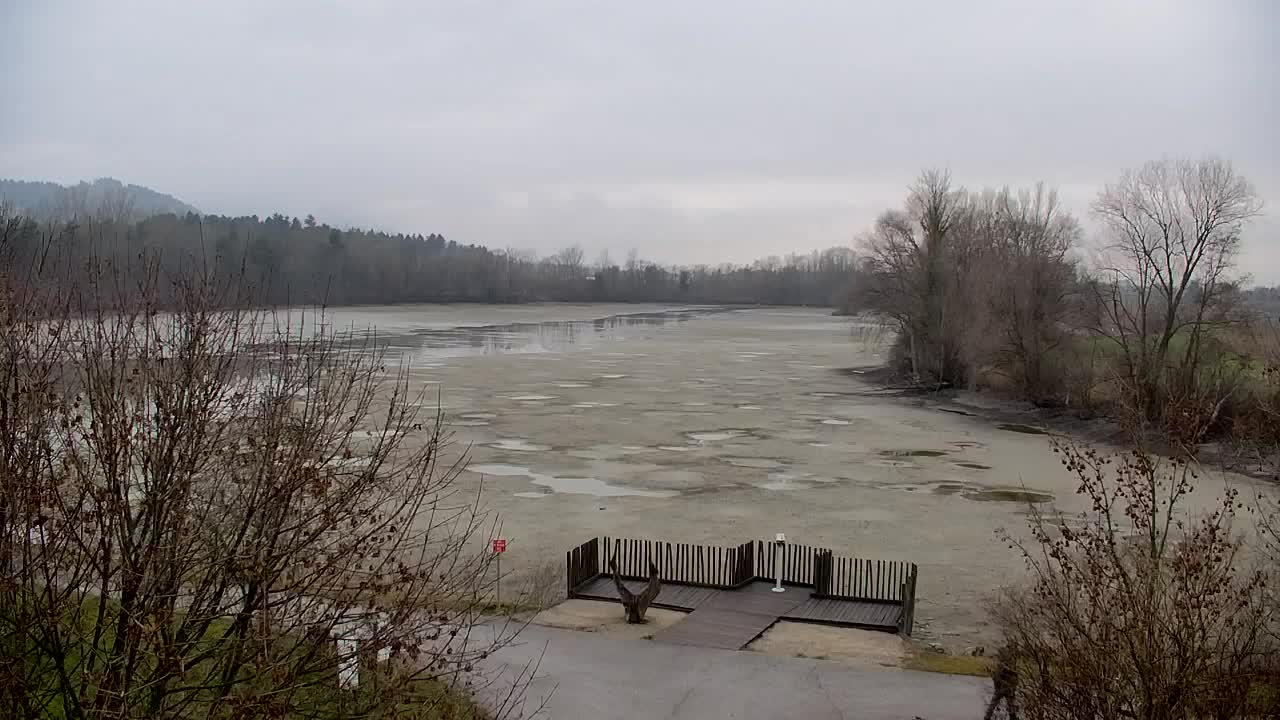 Webcam Ribnik Vrbje – Žalec