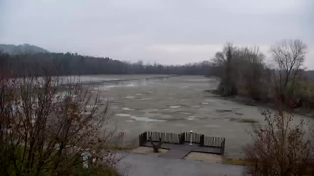 Spletna kamera Ribnik Vrbje – Žalec