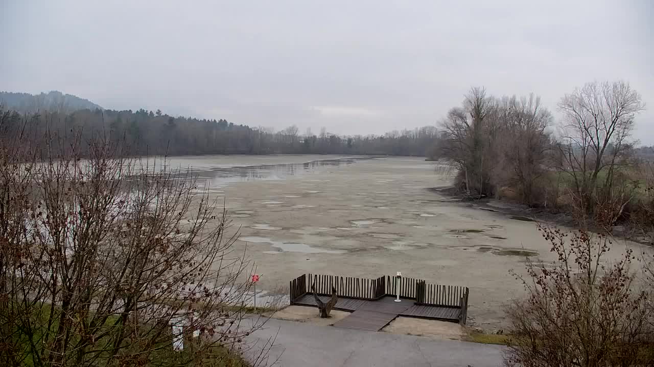 Webcam Ribnik Vrbje – Žalec