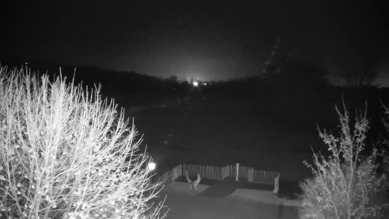 Webcam Ribnik Vrbje – Žalec