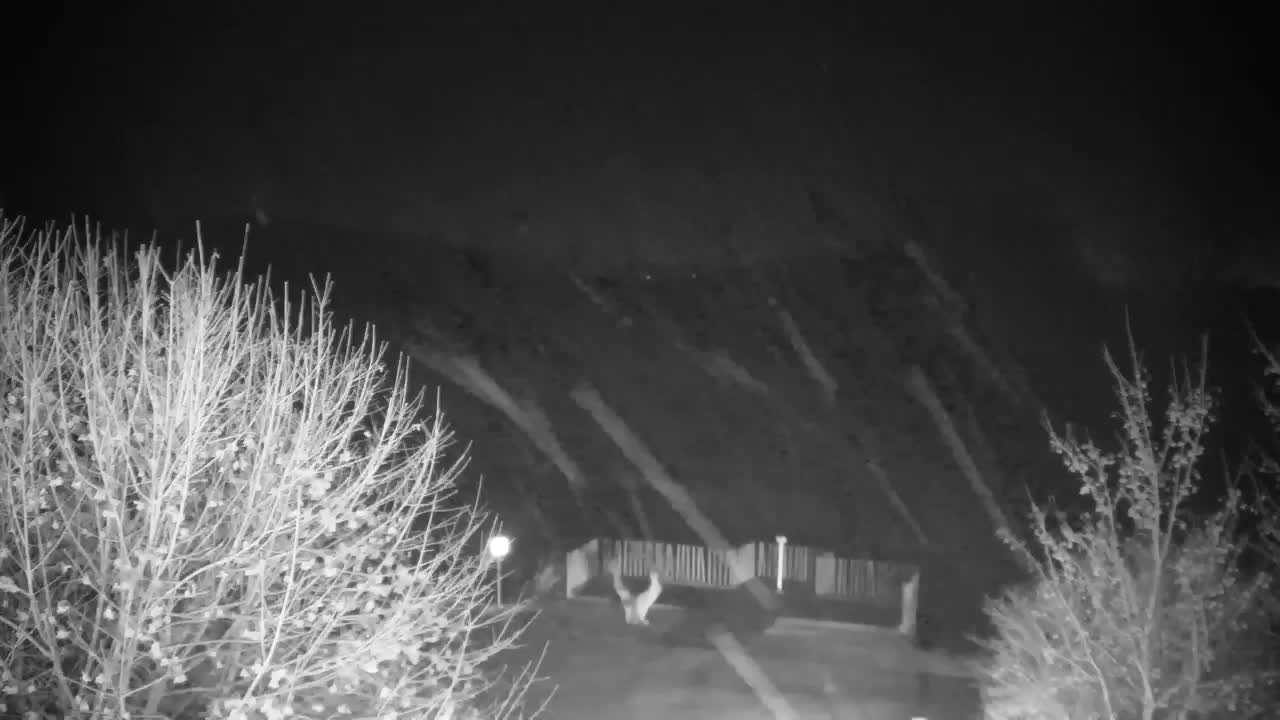 Webcam Ribnik Vrbje – Žalec