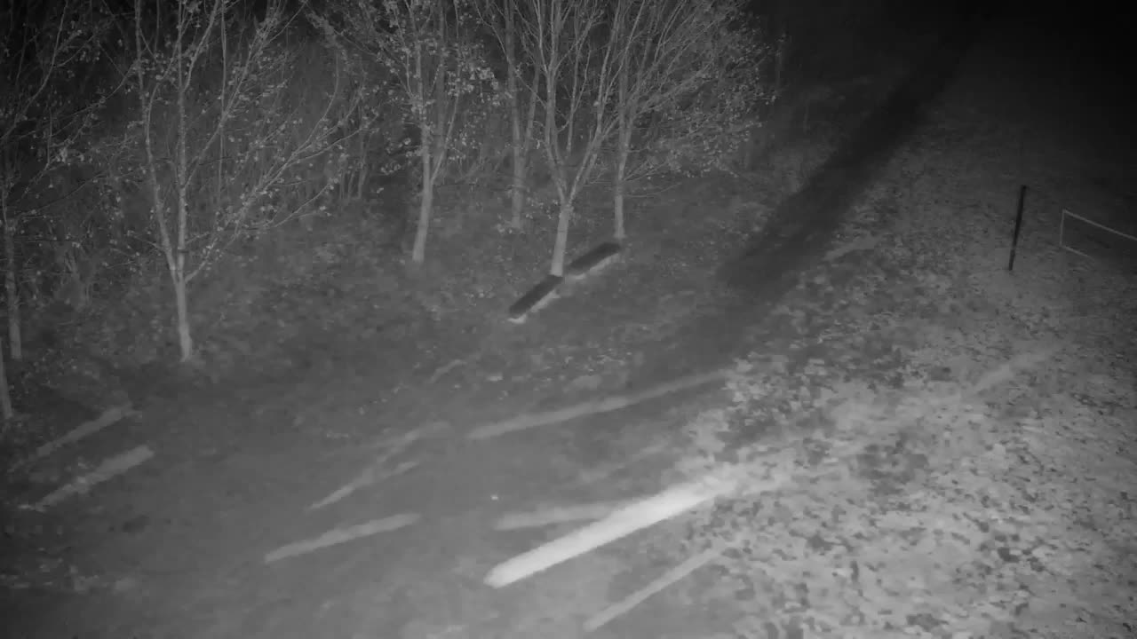 Webcam Ribnik Vrbje – Žalec