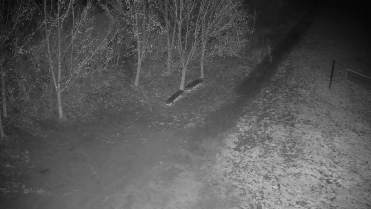 Web kamera Ribnik Vrbje – Žalec