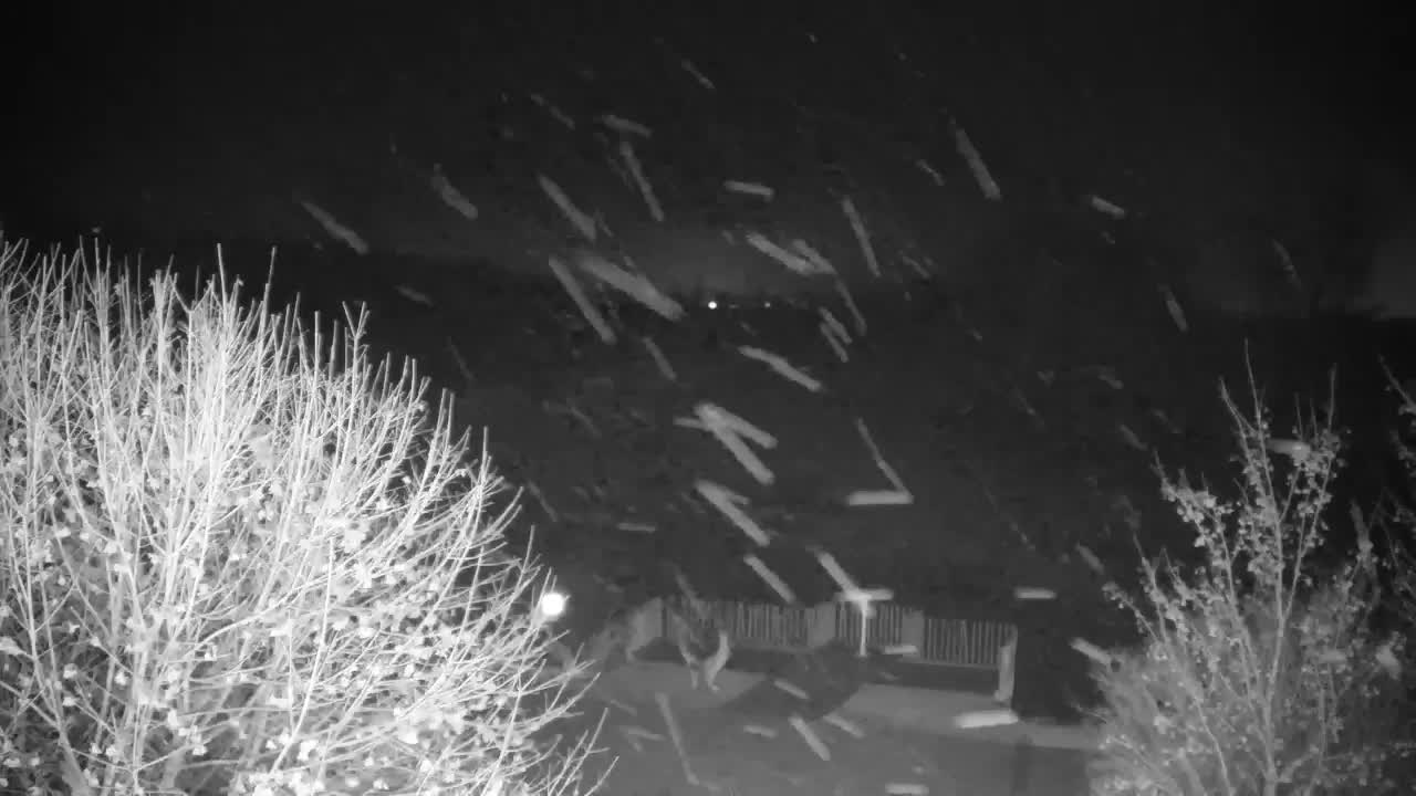 Webcam Ribnik Vrbje – Žalec