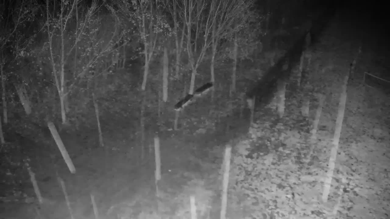 Webcam Ribnik Vrbje – Žalec