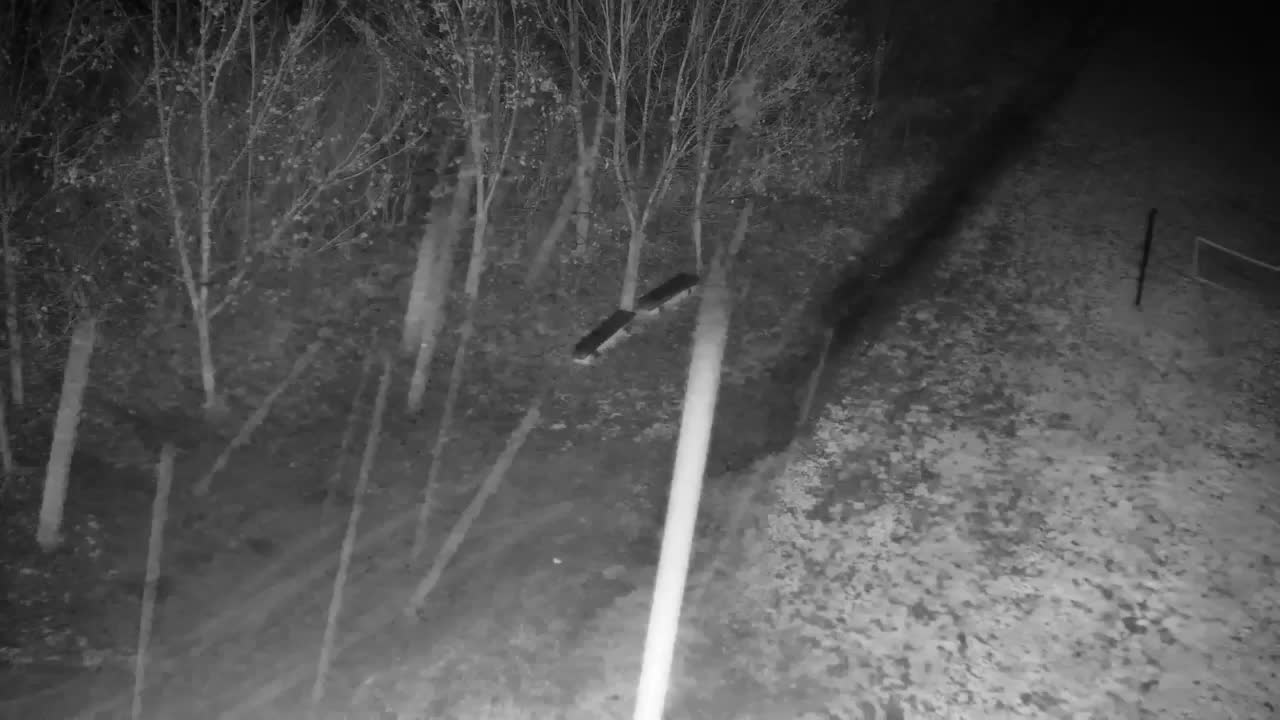 Webcam Ribnik Vrbje – Žalec