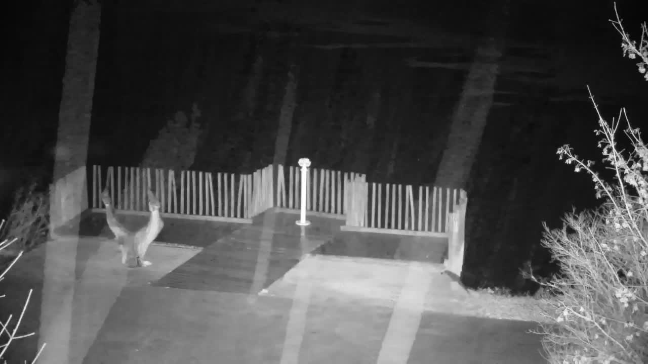 Webcam Ribnik Vrbje – Žalec