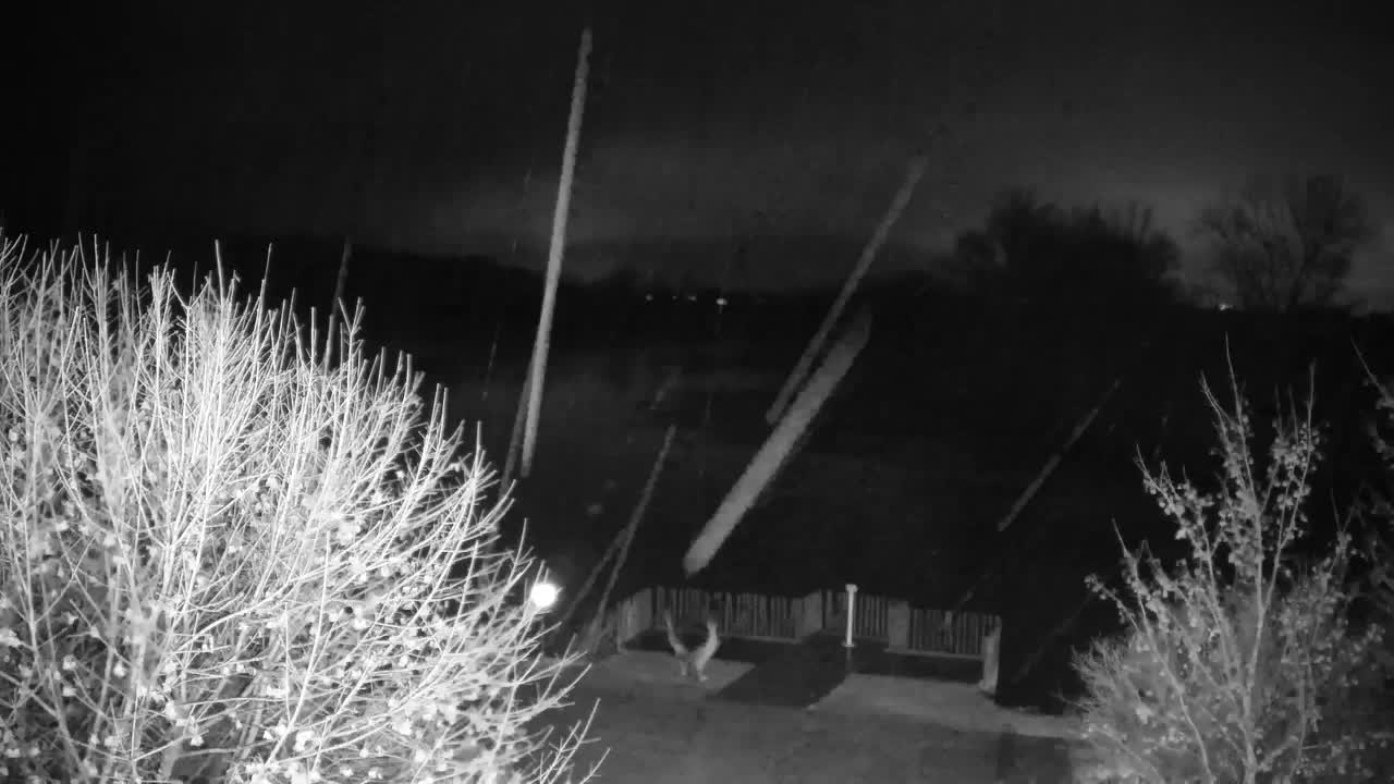 Spletna kamera Ribnik Vrbje – Žalec