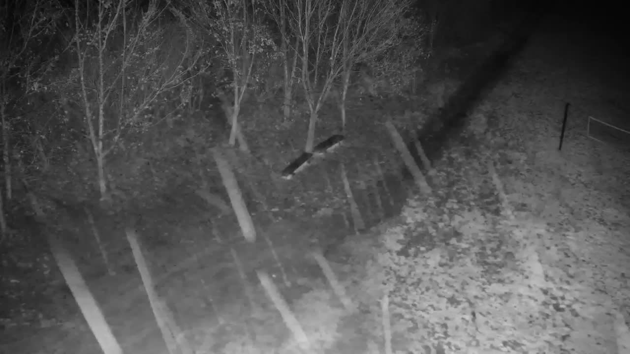 Web kamera Ribnik Vrbje – Žalec