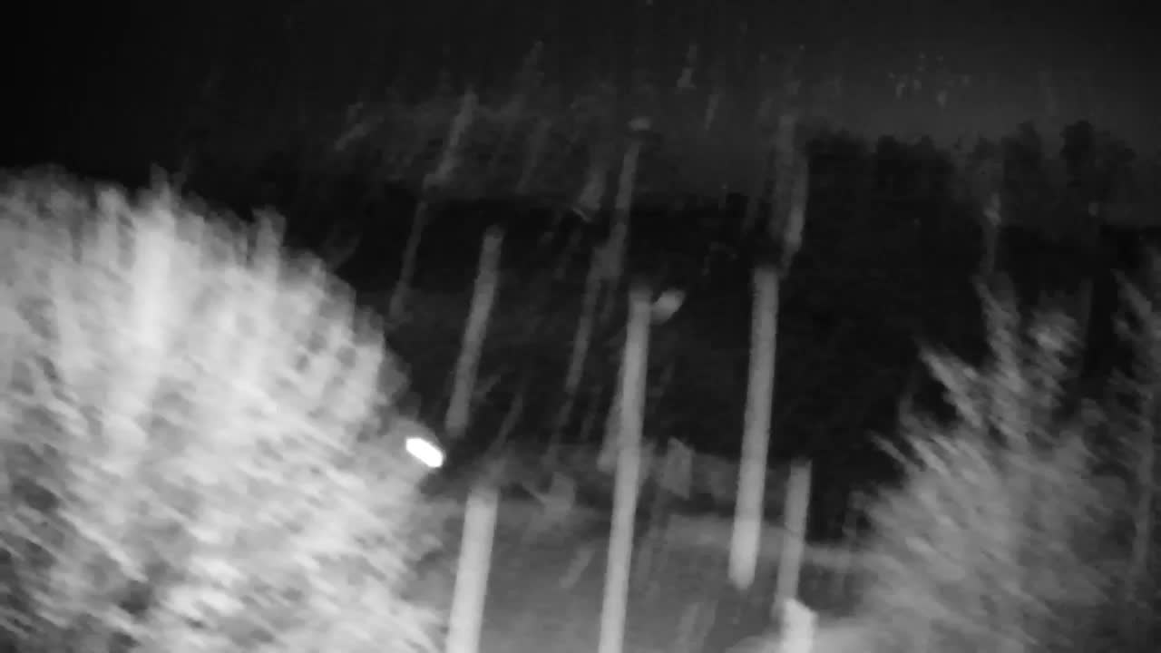 Webcam Ribnik Vrbje – Žalec