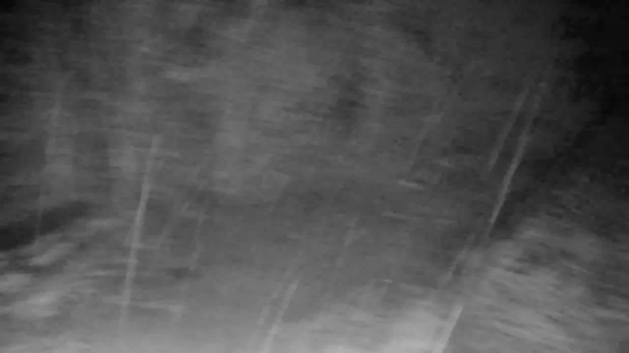 Web kamera Ribnik Vrbje – Žalec