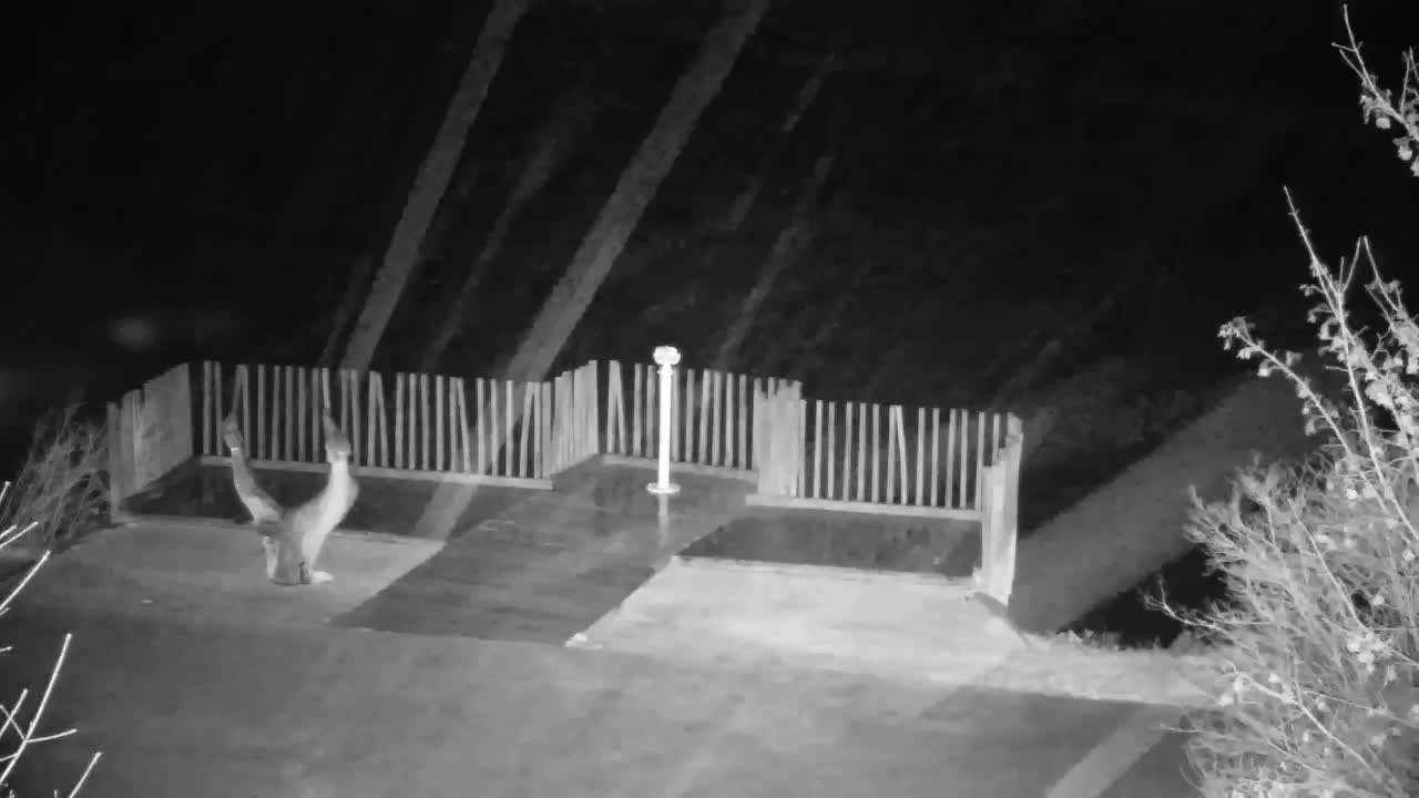 Webcam Ribnik Vrbje – Žalec