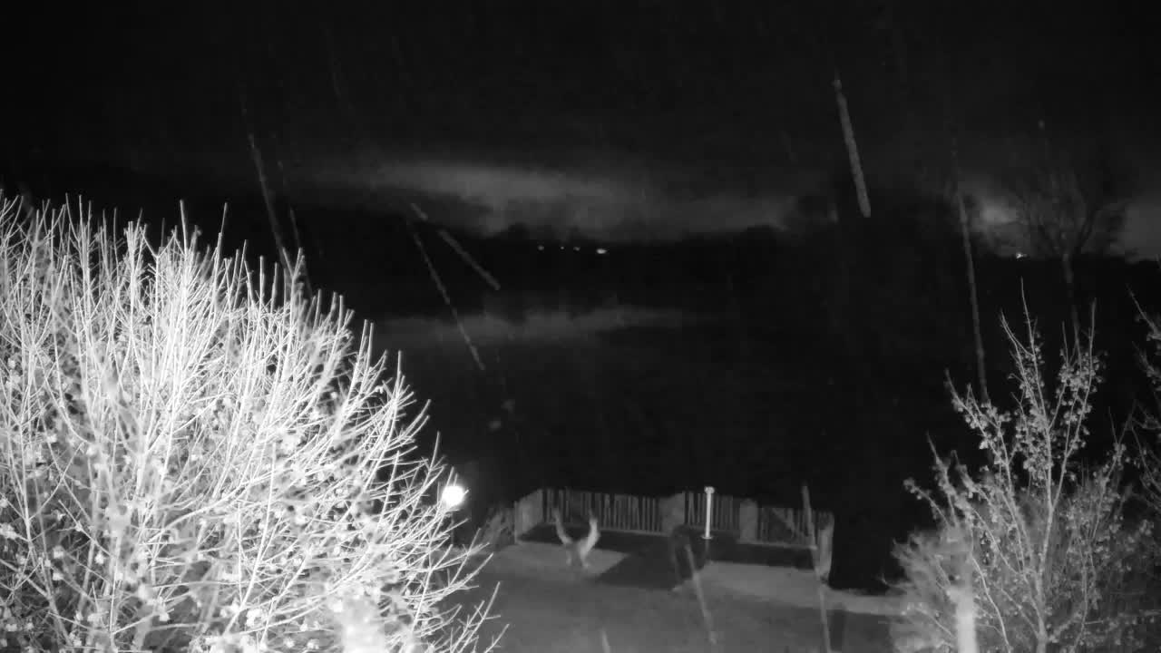 Web kamera Ribnik Vrbje – Žalec