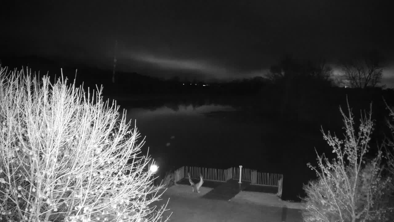 Webcam Ribnik Vrbje – Žalec