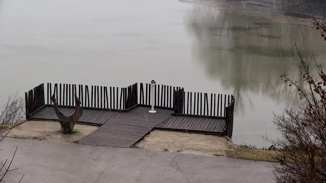 Webcam Ribnik Vrbje – Žalec