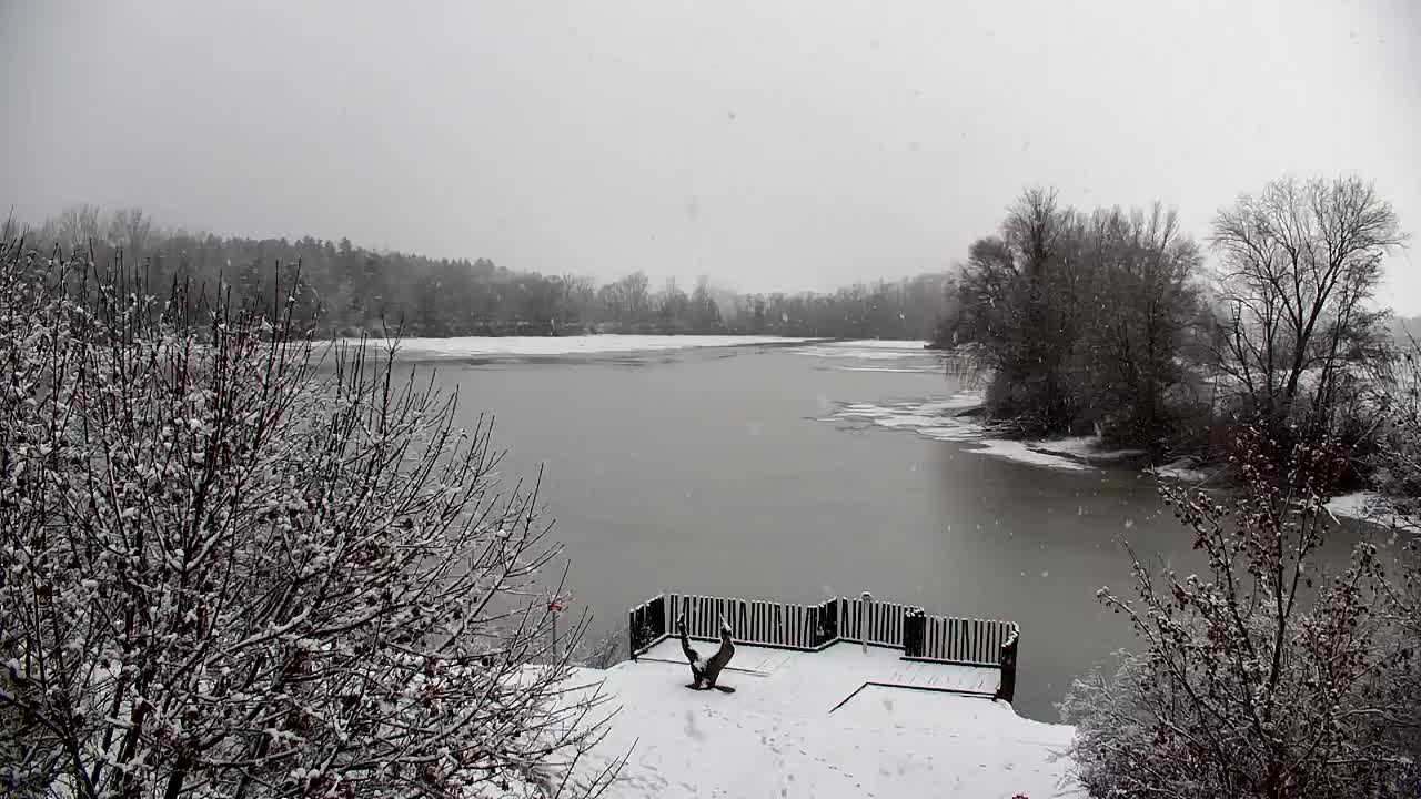 Web kamera Ribnik Vrbje – Žalec