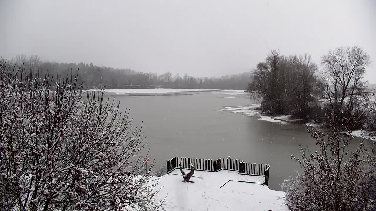 Webcam Ribnik Vrbje – Žalec