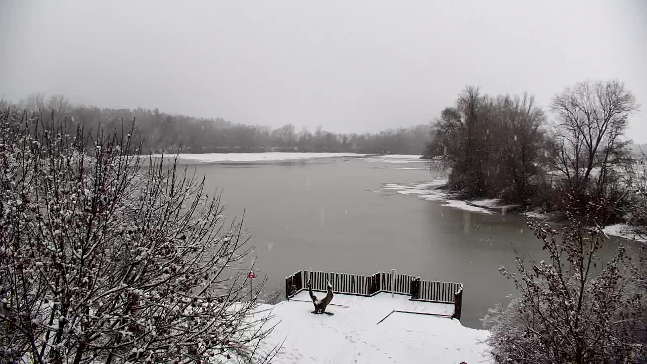 Spletna kamera Ribnik Vrbje – Žalec