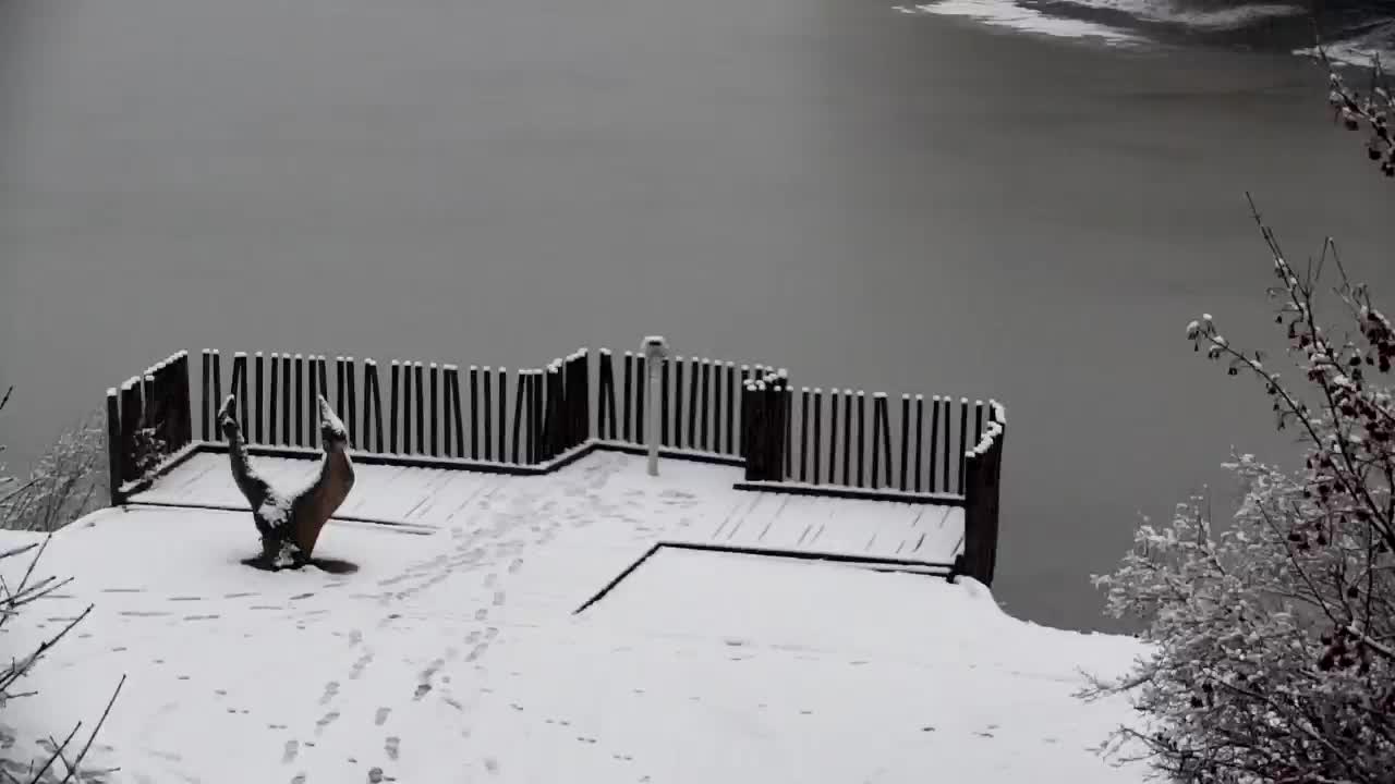 Webcam Ribnik Vrbje – Žalec