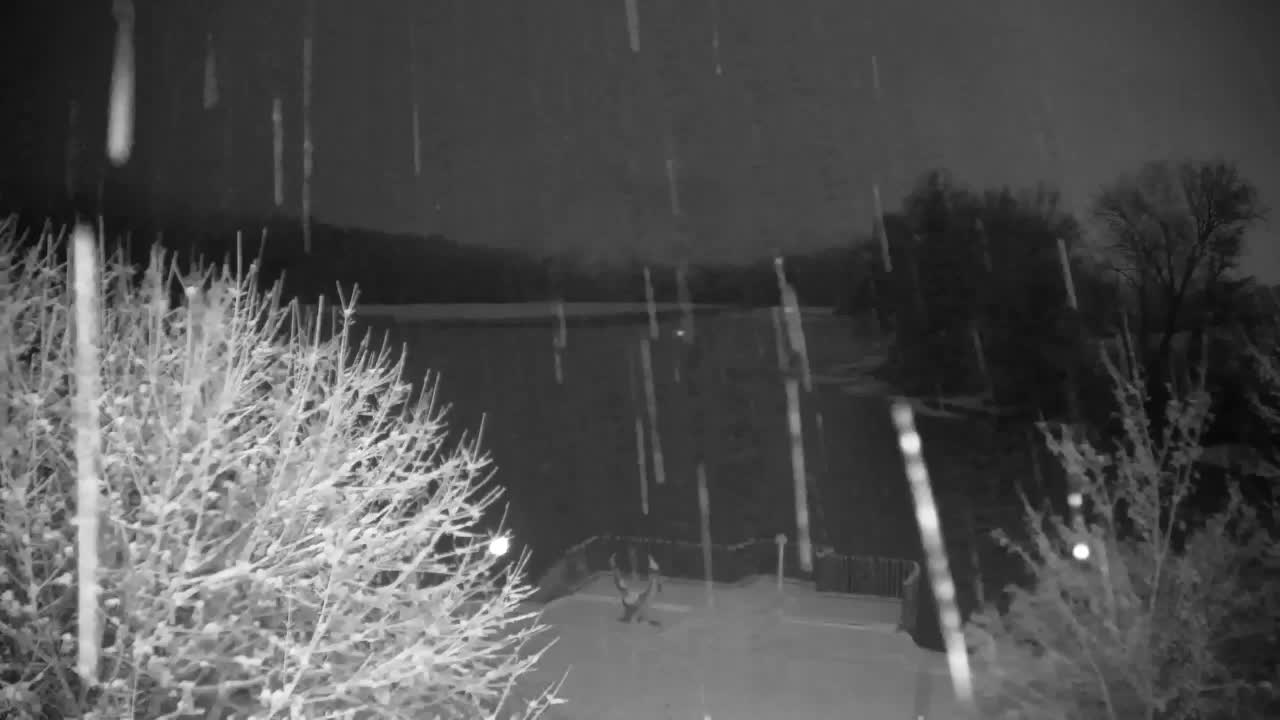 Webcam Ribnik Vrbje – Žalec