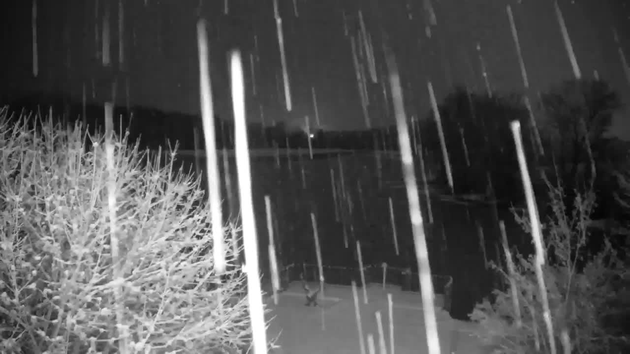 Webcam Ribnik Vrbje – Žalec