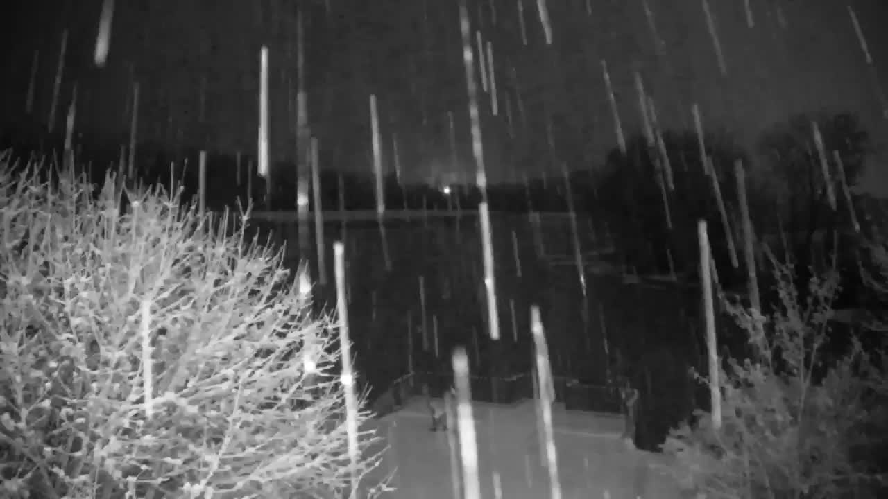 Web kamera Ribnik Vrbje – Žalec