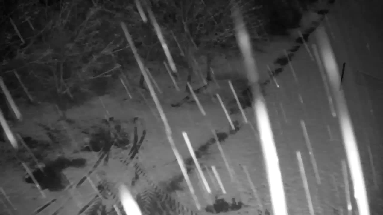 Webcam Ribnik Vrbje – Žalec