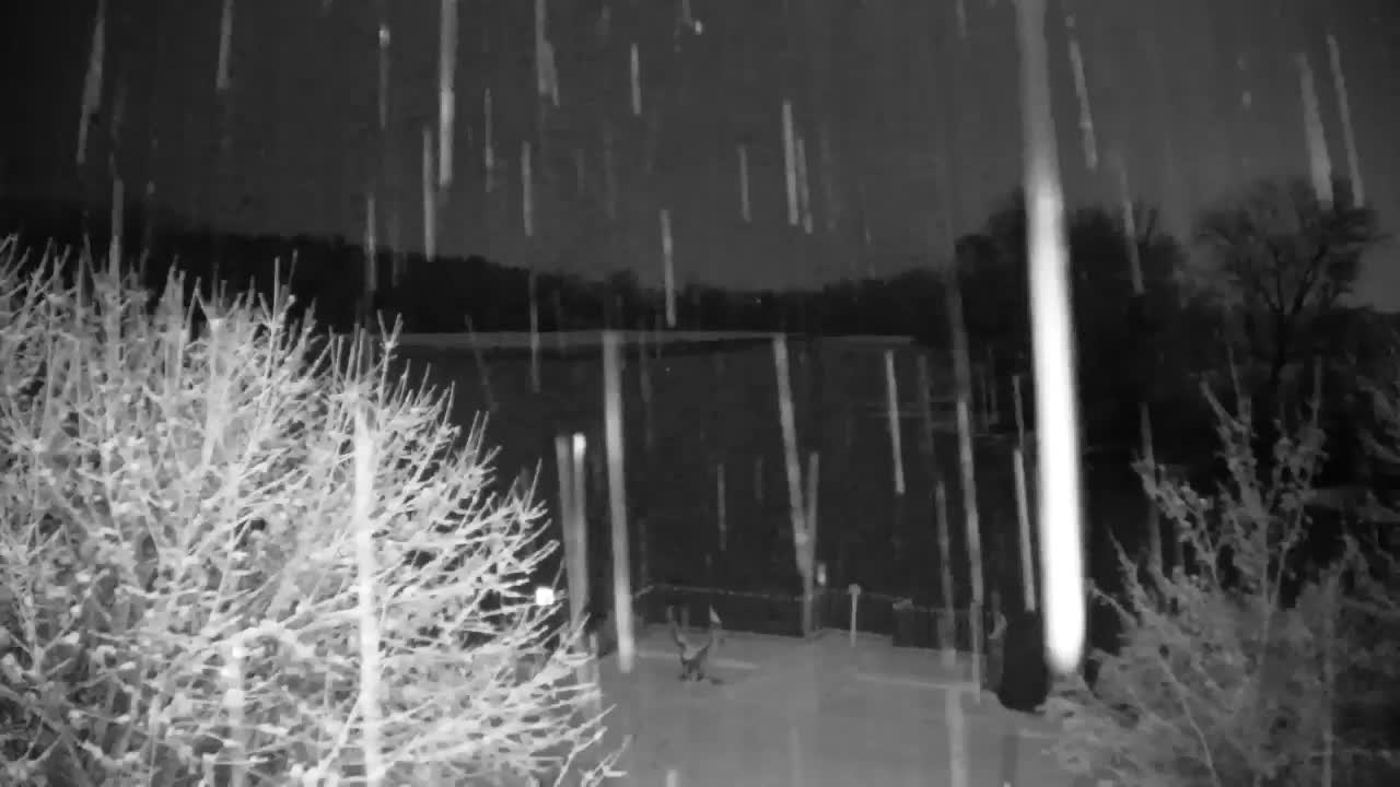 Spletna kamera Ribnik Vrbje – Žalec