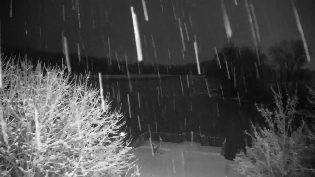 Webcam Ribnik Vrbje – Žalec