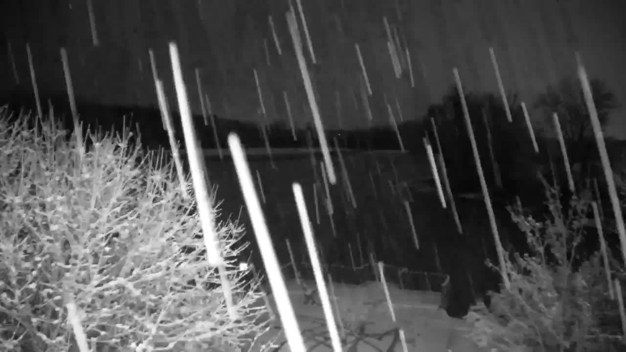 Webcam Ribnik Vrbje – Žalec