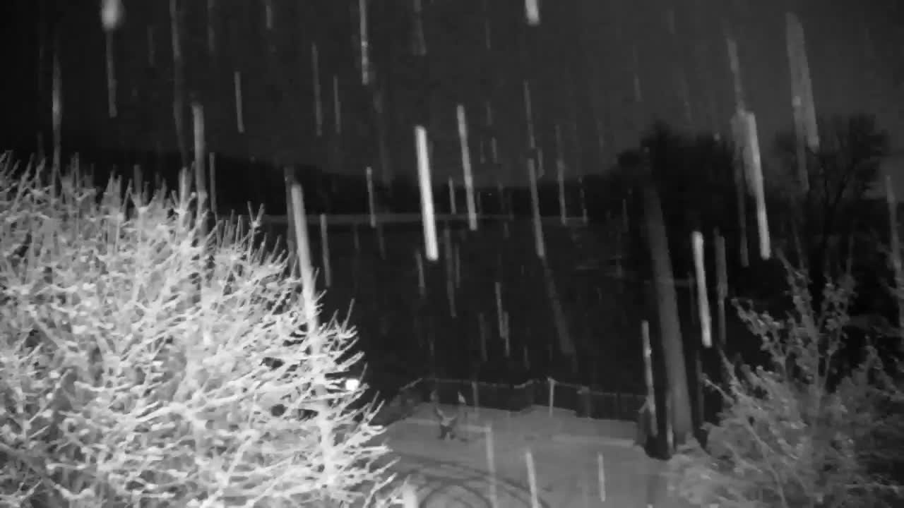 Web kamera Ribnik Vrbje – Žalec