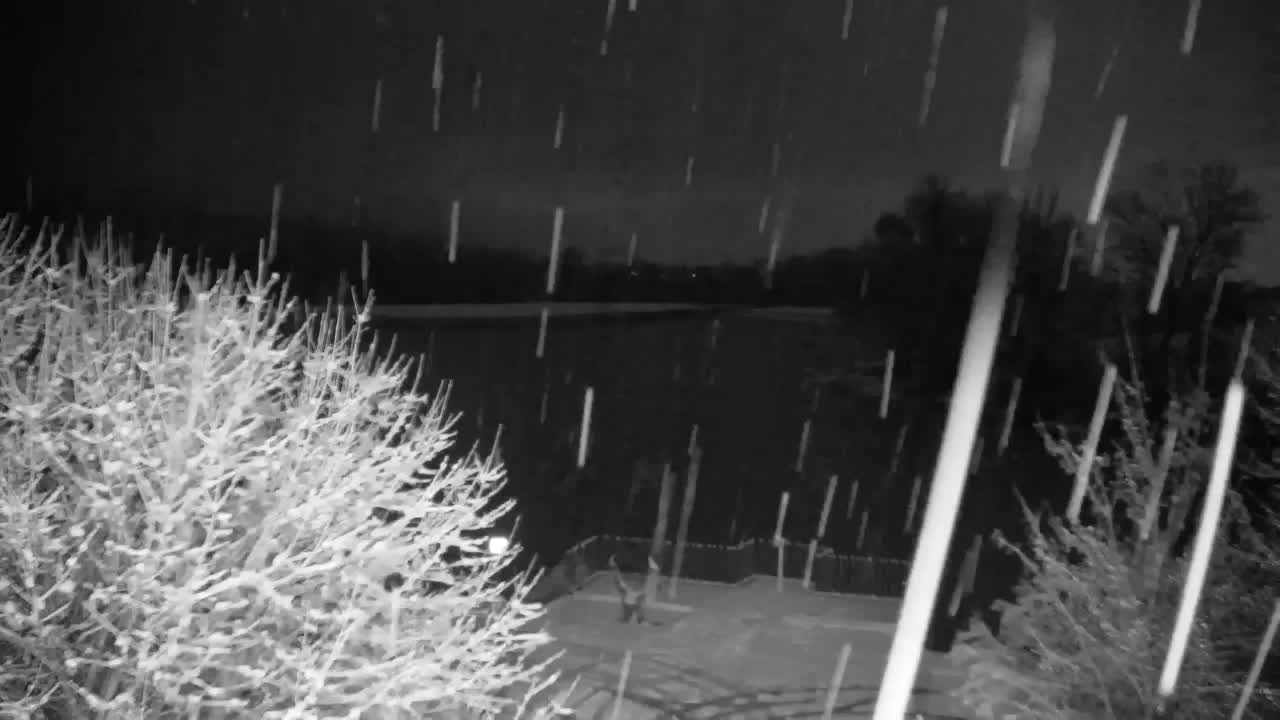 Webcam Ribnik Vrbje – Žalec