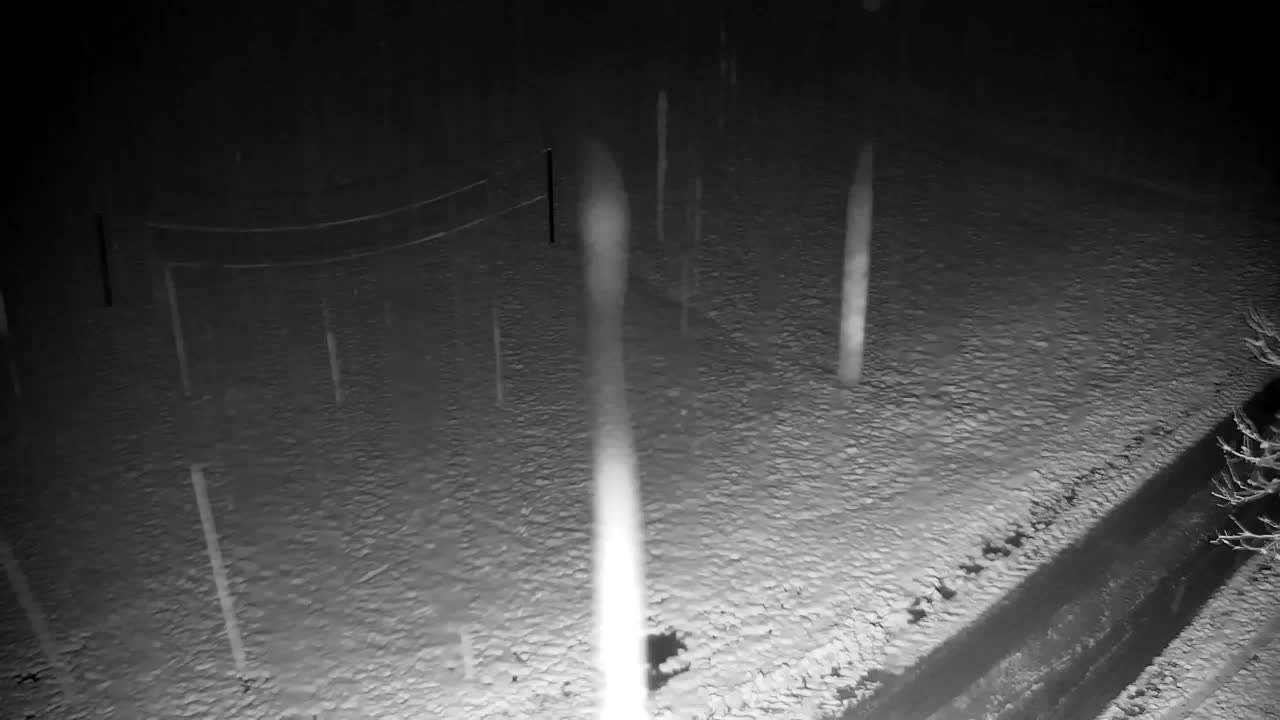 Webcam Ribnik Vrbje – Žalec