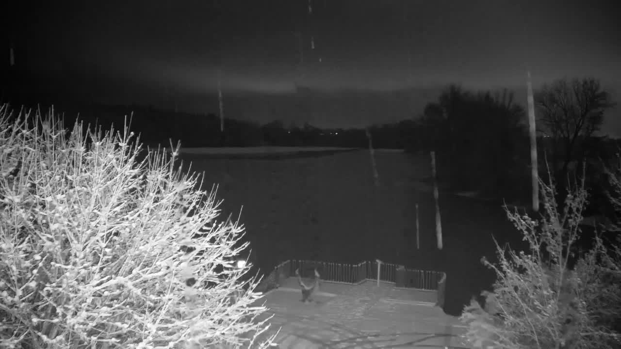 Webcam Ribnik Vrbje – Žalec