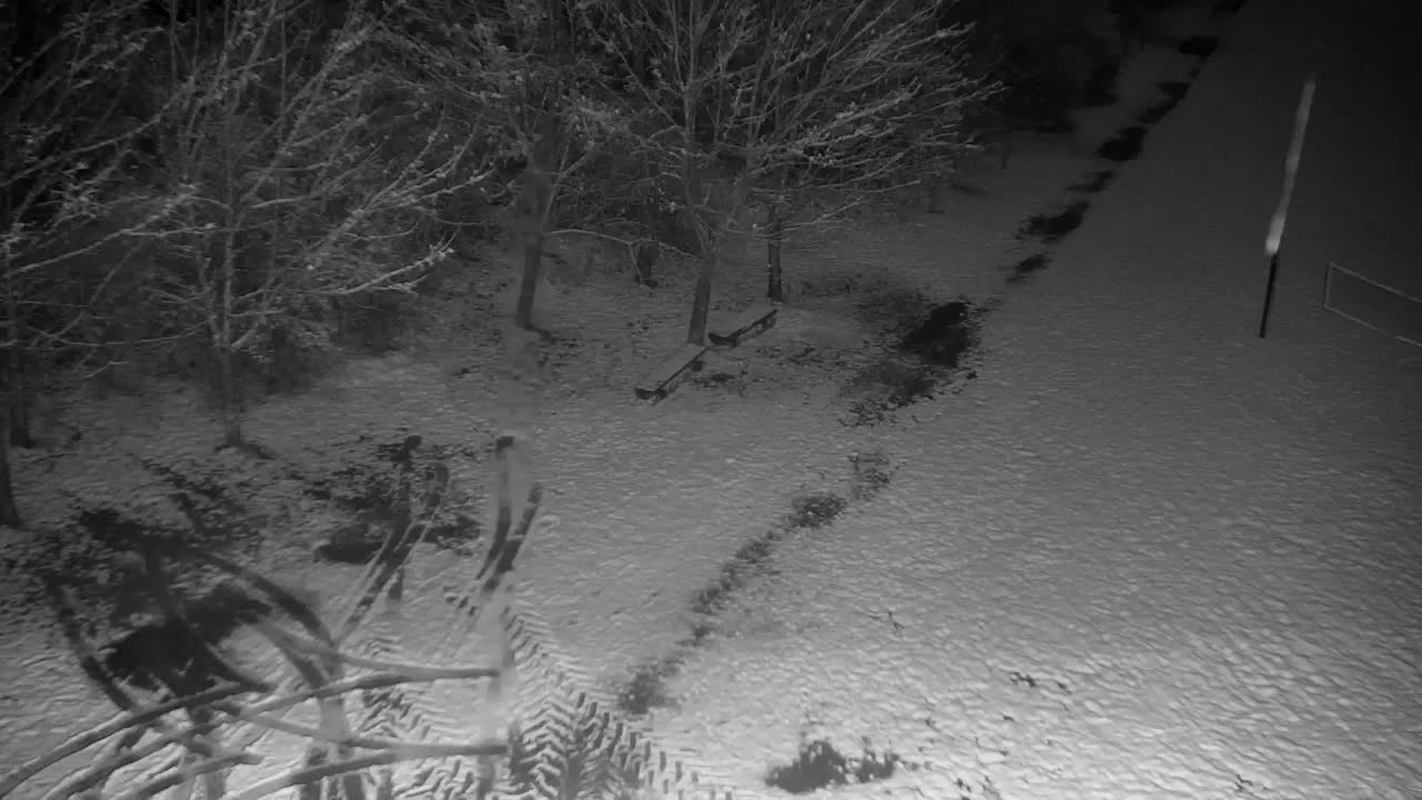 Spletna kamera Ribnik Vrbje – Žalec