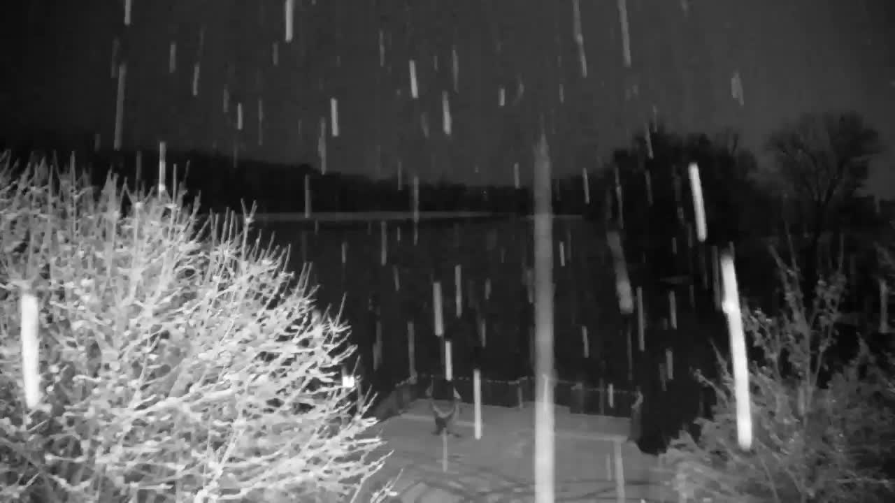 Webcam Ribnik Vrbje – Žalec