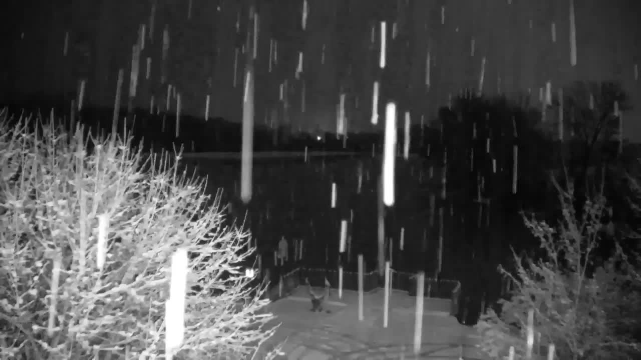 Webcam Ribnik Vrbje – Žalec