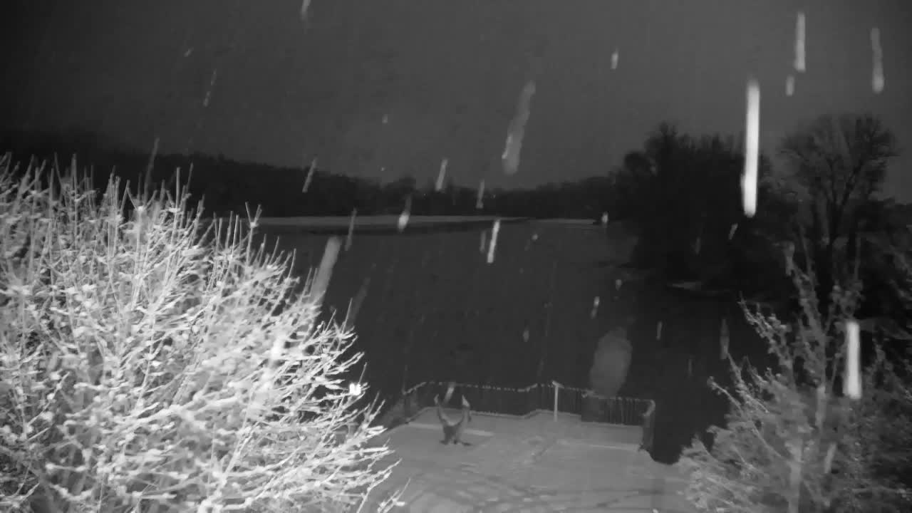 Webcam Ribnik Vrbje – Žalec