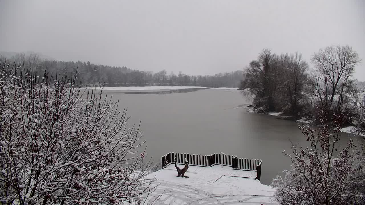 Webcam Ribnik Vrbje – Žalec