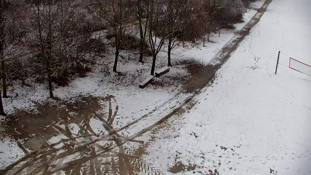 Webcam Ribnik Vrbje – Žalec