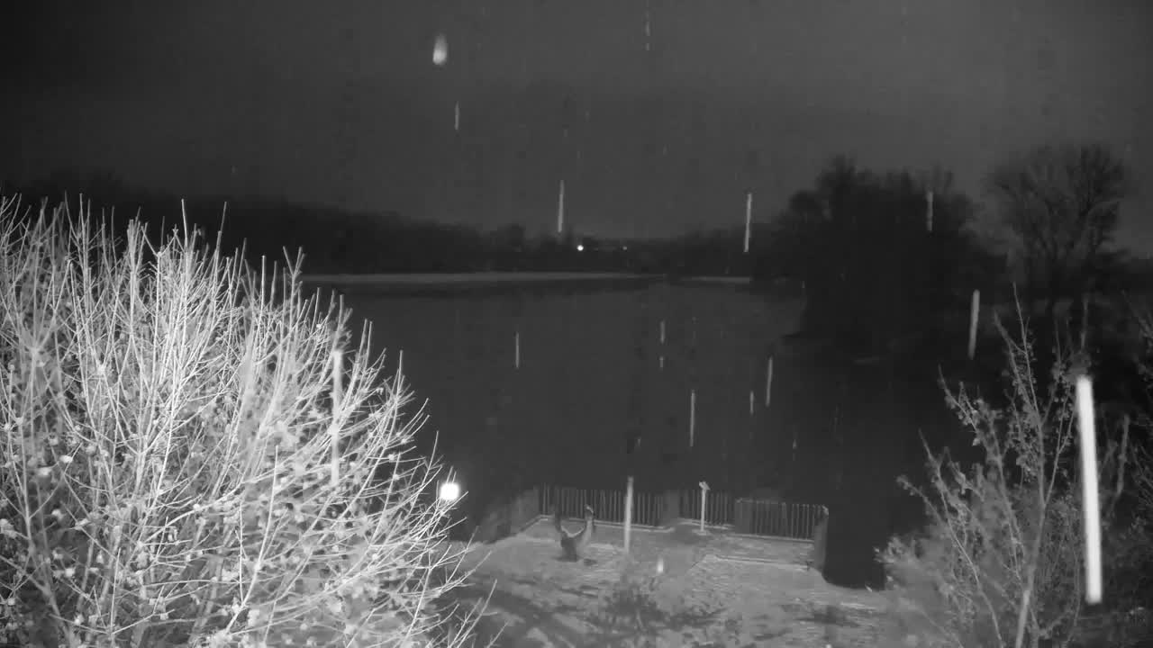 Webcam Ribnik Vrbje – Žalec