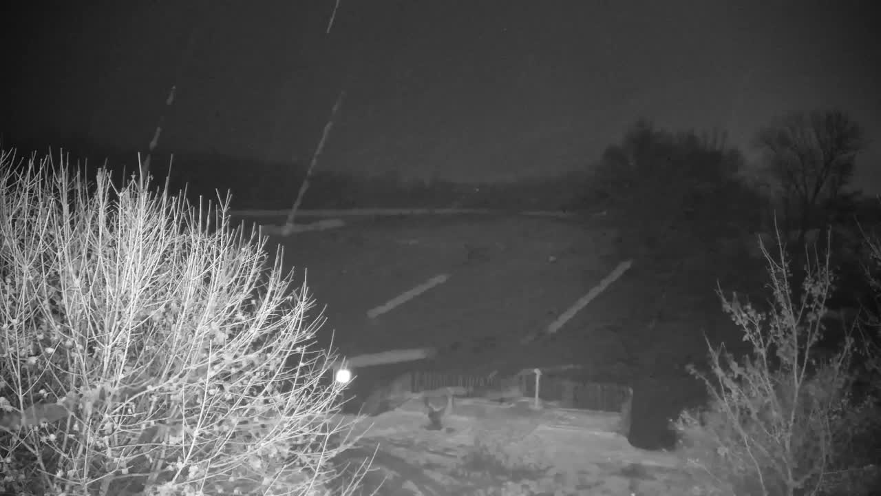 Webcam Ribnik Vrbje – Žalec